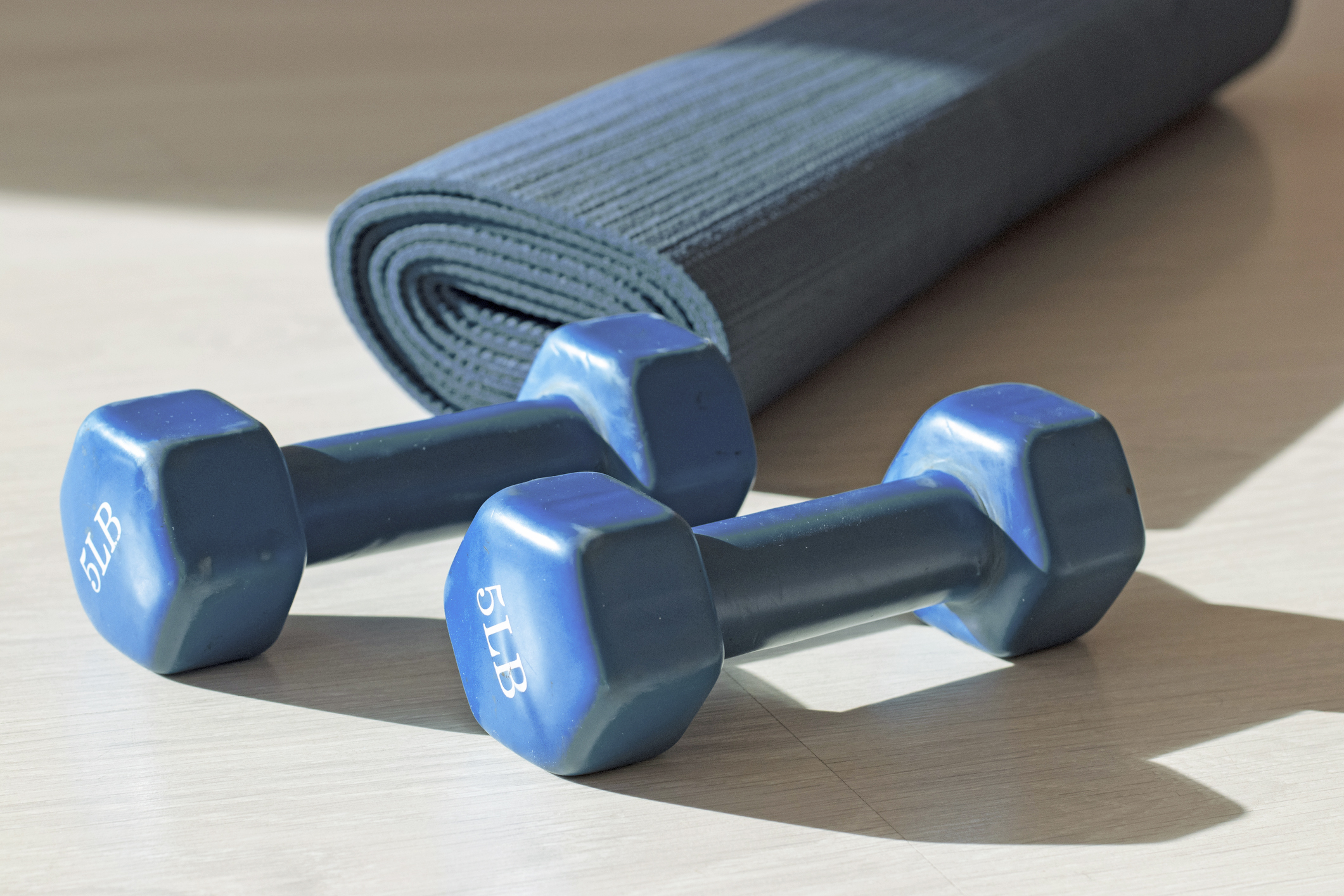 Two blue dumbbells and a yoga mat with shadows in the gym. Sport and fitness concept